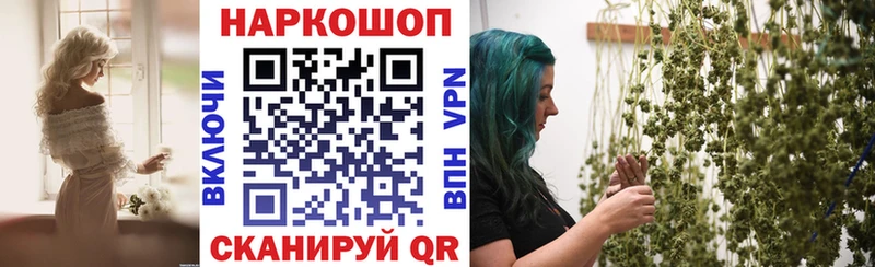 Виды наркоты Вологда A PVP  Меф  Кокаин 