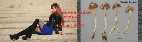 прущая мука Нязепетровск