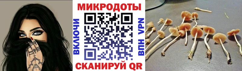 гидра ссылка  Вологда  Галлюциногенные грибы Cubensis 