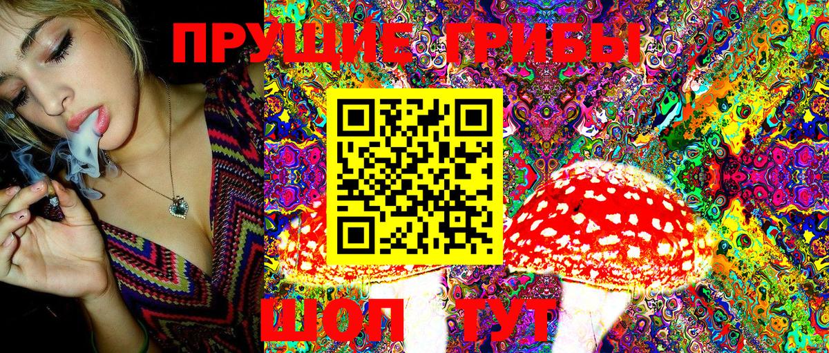 Вологда  Псилоцибиновые грибы Psilocybine cubensis  Галлюциногенные грибы MAGIC MUSHROOMS  Вход с VPN 